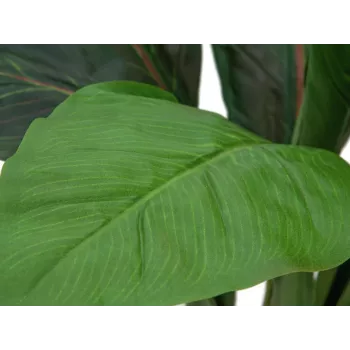 EUROPALMS mű mángold bokor, 45cm, zöld 82508302