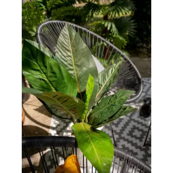 EUROPALMS mű mángold bokor, 45cm, zöld 82508302