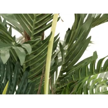 EUROPALMS Kentia pálma műnövény 180cm 82511367