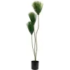 EUROPALMS Papyrus műnövény, 100 cm 82600234