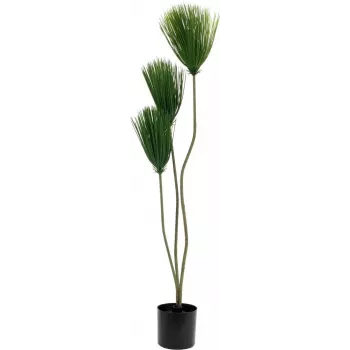 EUROPALMS Papyrus műnövény, 100 cm 82600234