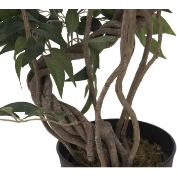 EUROPALMS Ficus Multi Spiral Trunk műnövény, 130 cm 82806314