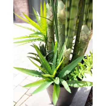 EUROPALMS pozsgás mix műnövény, 190 cm 82600035