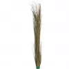 EUROPALMS műnád, khaki, 127 cm 82505853