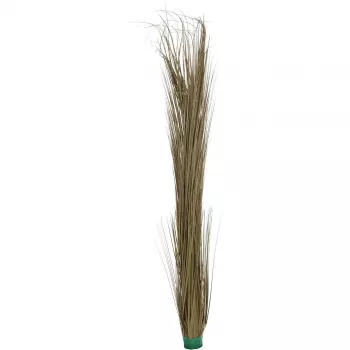 EUROPALMS műnád, khaki, 127 cm 82505853