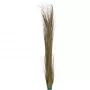 EUROPALMS műnád, khaki, 127 cm 82505853