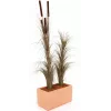 EUROPALMS műnád buzogánnyal, sötétbarna, 152 cm 82505857