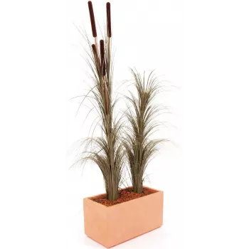 EUROPALMS műnád buzogánnyal, sötétbarna, 152 cm 82505857