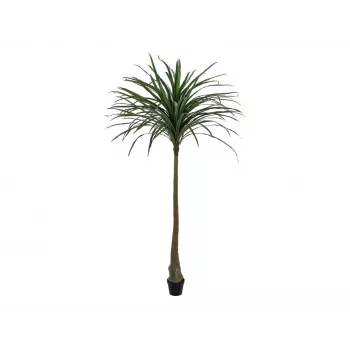 EUROPALMS Dracena műnövény, zöld, 220 cm 82505798