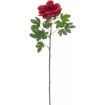 EUROPALMS Classic Peony Branch műnövény, magenta, 80 cm 82530211