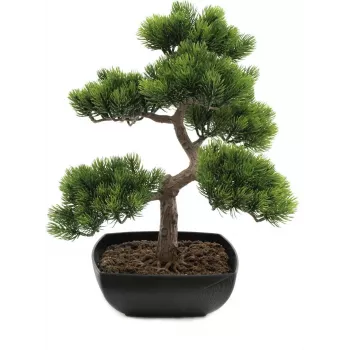 EUROPALMS bonszai fenyő műnövény, 50 cm 82600110