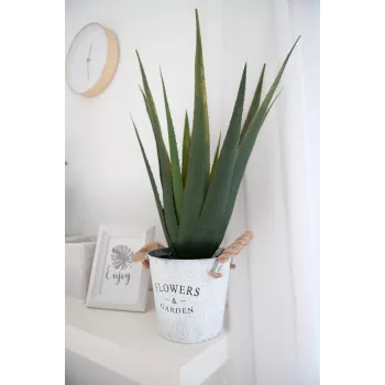 EUROPALMS mű aloe vera növény, 60 cm, fekete cserép 82600167