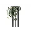 EUROPALMS Holland Ivy Hedge Screen Classic, mű, 60cm 82502210