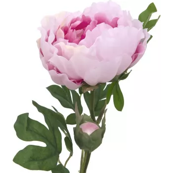 EUROPALMS Peony Branch Classic műnövény, rózsaszín, 80 cm 82530210