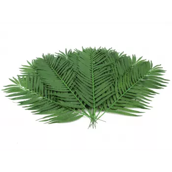 EUROPALMS kókuszpálma levél, mű, 110cm, 12 darabos csomag 82509897