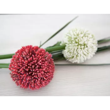 EUROPALMS mű allium szár, piros, 55cm 82530568