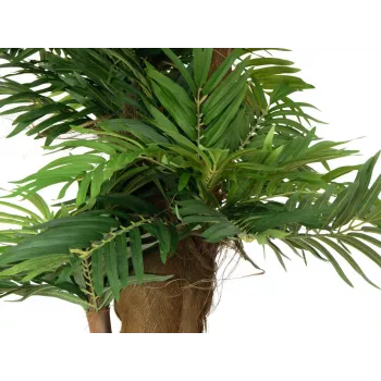 EUROPALMS areca pálma műnövény, 140cm 82509407