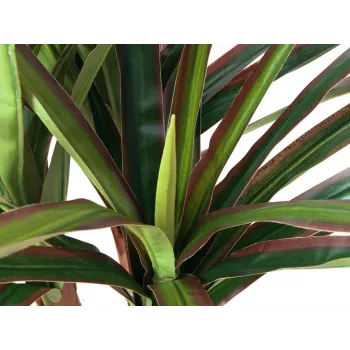 EUROPALMS mű dracena, 120 cm 82505779