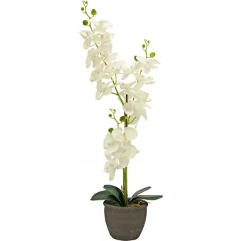 EUROPALMS orchidea műnövény, krém, 80cm 82530361
