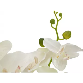 EUROPALMS orchidea műnövény, krém, 80cm 82530361