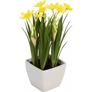 EUROPALMS mű nárcisz, 23 cm 82530542