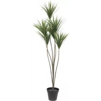 EUROPALMS pálmaliliom műnövény, 130cm 82511552