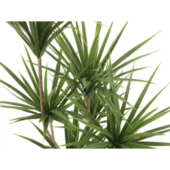 EUROPALMS pálmaliliom műnövény, 130cm 82511552