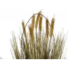 EUROPALMS mű érett búza, 60cm 82505867