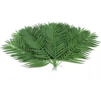 EUROPALMS mű kókuszpálma levél, 90 cm, 12 darab, zöld 82509896