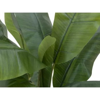 EUROPALMS mű banánfa, 120cm, valósághű zöld levelek, fekete cserép 82509537