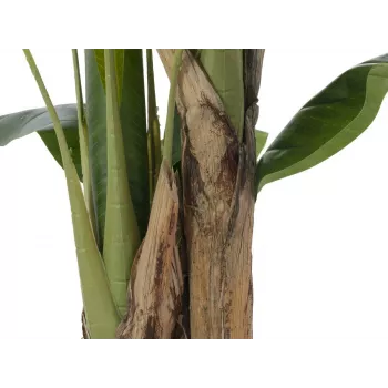 EUROPALMS mű banánfa, 120cm, valósághű zöld levelek, fekete cserép 82509537