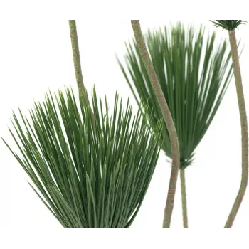 EUROPALMS papirusz műnövény, 130 cm 82600235