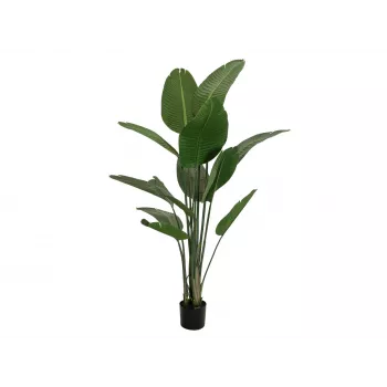 EUROPALMS műnövény strelitzia, 170 cm 82540523
