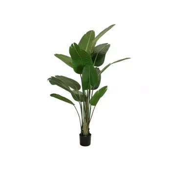 EUROPALMS műnövény strelitzia, 170 cm 82540523