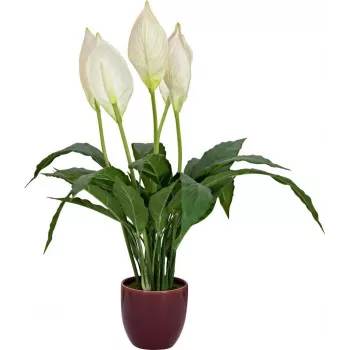 EUROPALMS műnövény békaliliom, 60 cm 82505660