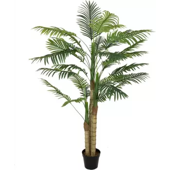 EUROPALMS areka pálma, 3 törzsű, műnövény, 150 cm 82509411