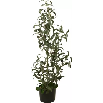 EUROPALMS mű olajfa, 90 cm 82506422