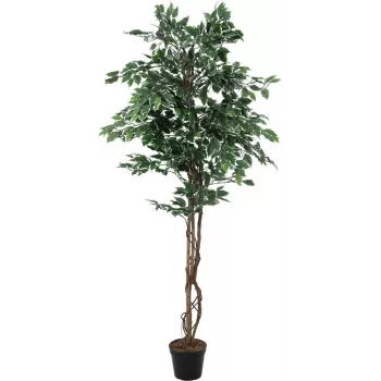 EUROPALMS ezüst fikusz benjamina műnövény, 180 cm 82506116
