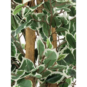 EUROPALMS ezüst fikusz benjamina műnövény, 180 cm 82506116