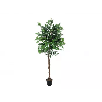 EUROPALMS Ficus Benjamina többtörzsű műnövény, 210 cm 82506127