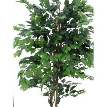 EUROPALMS Ficus Benjamina többtörzsű műnövény, 210 cm 82506127