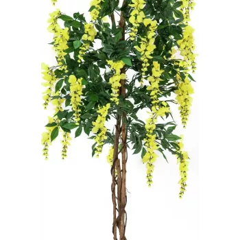 EUROPALMS aranyeső műnövény, sárga, 150 cm 82507115
