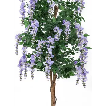 EUROPALMS mű aranyesőfa, lila virágok, 180 cm 82507136
