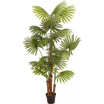 EUROPALMS műnövény legyezőpálma, 165 cm 82509305