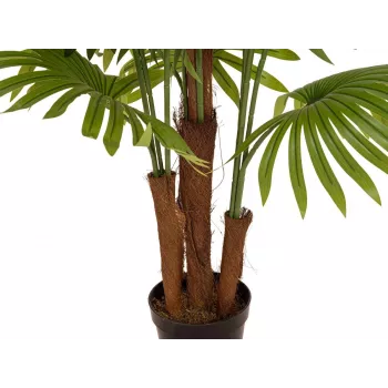 EUROPALMS műnövény legyezőpálma, 165 cm 82509305