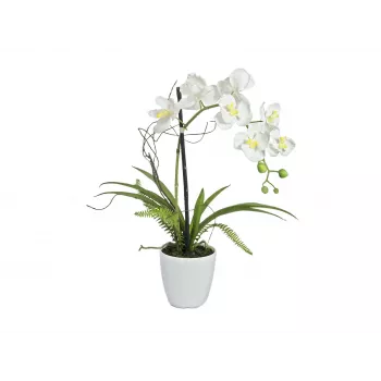 EUROPALMS mű orchidea kompozíció 1, cserépben, fehér-rózsaszín, 60 cm 82530346