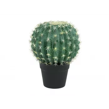 EUROPALMS mű gömbkaktusz, 34 cm 82600063