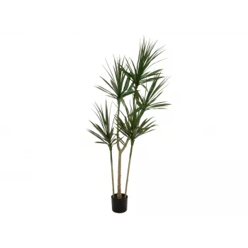EUROPALMS Dracena műnövény, zöld, 170 cm 82505799
