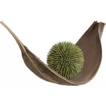 EUROPALMS pozsgásgömb (EVA), műnövény, zöld, 20 cm 82531071