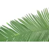 EUROPALMS műkókusz királypálma-levél, 180 cm 82509847